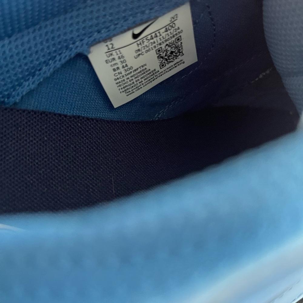 Nike Dunk Low Retro Psychic Blue Star Sail Sneaker Men's Shoe Size 12 HF5441-400 - Picture 10 of 11